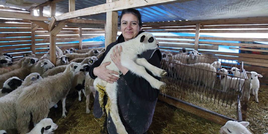 Şehirden sıkıldı köye kaçtı: 85 hayvanıyla ekonomiye katkı sağlıyor 3